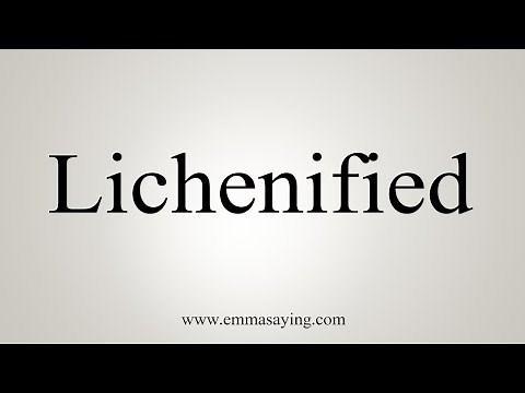 How To Say Lichenified