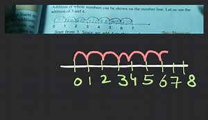 Addition of whole numbers can be shown on the number line. Let ... | Filo