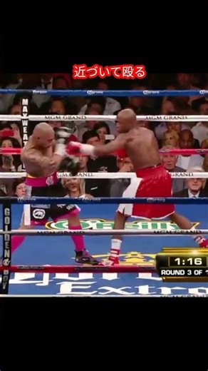 Mayweather's jab versatility
