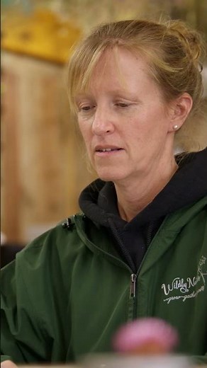 Expert help through all stages as your business blossoms | QuickBooks Live