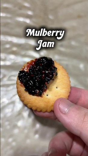 Testing Mulberry Jam recipe !!!!! #dessert #jam #cooking