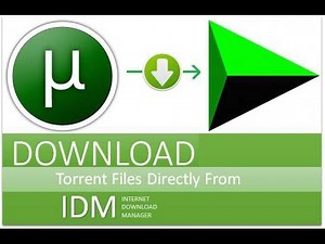 How To Download Torrent Files With IDM (Internet Download Manager)