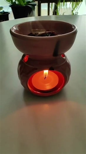 DIY Coffee Fragrance Diffuser for Home | Homemade Cinnamon Sticks Scent