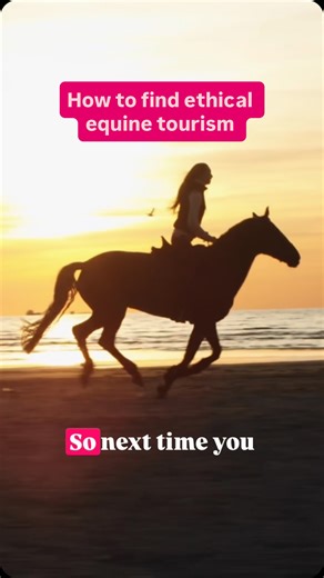 6.6K views · 164 reactions | If want to ride horses on vacation, here...