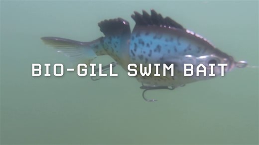 Cast into action with FishLab's Bio-Gill Swimbait! Experience the incredible swimming action that drives fish wild. Perfect for targeting bass, pike, and more! Check out the full Bio-Gill lineup at your favorite retailer or at fishlabtackle.com #FishLab #BioGill #FishingAdventure | FishLab Tackle