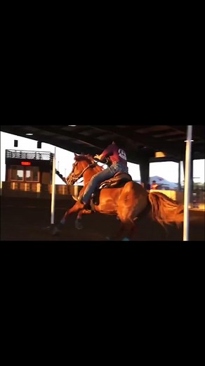 #polebending #horses #backinblack #rodeo #horse #fyp #foryoupage #girls #racing #barrelracer #cowgirl
