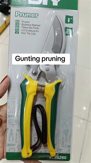 The Art of Gunting Pruning Techniques