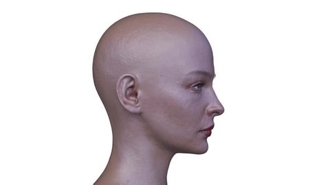 3d Rendering Womans Face Close-up Stock Footage Video (100% Royalty-free) 3490836981 | Shutterstock