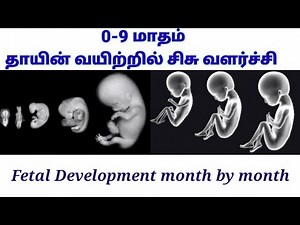 தாயின் வயிற்றில் சிசு வளர்ச்சி, 0-9 months of baby development in womb in Tamil