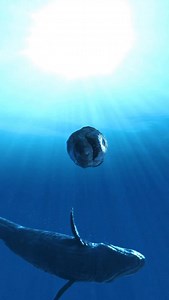 For a long time, Megalodon 🦈 was thought of as the undisputed apex predator of the Miocene and Pliocene oceans. At up to 18 meters long, it certainly dominated much of the seas. But recent studies suggest the picture was more complex. Megalodon shared its oceans with Livyatan, a giant predatory whale almost as large, armed with the biggest functional teeth of any animal. Fossil evidence shows both species lived around the same time, likely competing for the same prey—large whales. This means Me