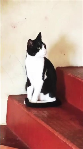 #jack #funny short film comedy🤣🤣🤣#jack funny mind voice#entertainment Actrocity🤣🤣🤣🤣🤣