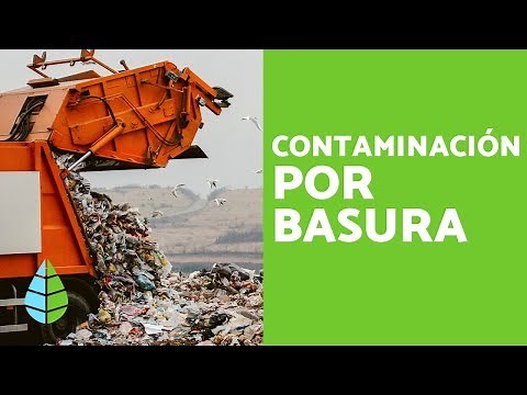 TRASH and WASTE - TRASH POLLUTION: CAUSES and CONSEQUENCES