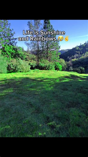 A Whimsical Journey Through Nature's Beauty
