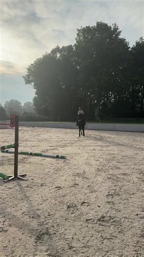 Springles in de Zomer: Trots op de Vooruitgang!