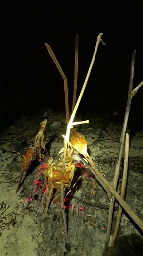 Nikmatnya dapat ikan sehabis mancing langsung di bakar, mantap!! #pulaulancang #beach #adventure