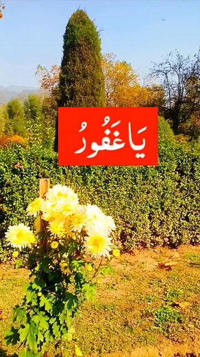 Charming view | Nature Explore