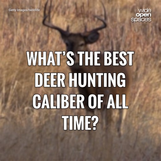 2.5K views · 36 reactions | What do you think is the best? | Wide Open Spaces | Facebook