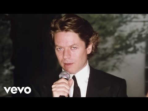 Robert Palmer - I Didn't Mean To Turn You On