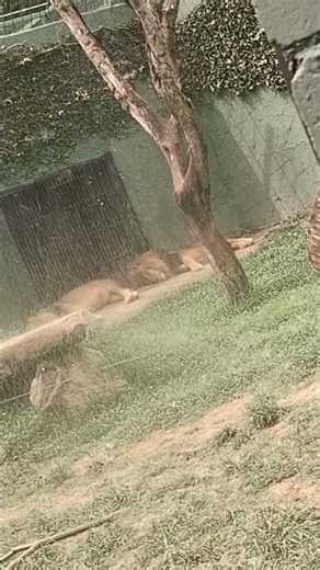 22 de março de 2026