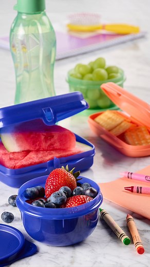 50K views · 225 reactions | Quick & Eco-Friendly Lunch Solutions! ...