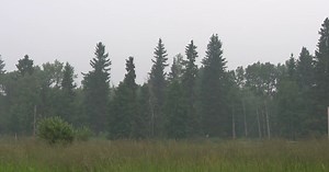 Evacuation order issued for wildfire northwest of Calgary