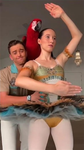 Me or my husband ckekp #shortsfeed #challenge #dance #viral