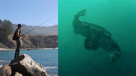 Rock fishing with underwater footage and swimbaits