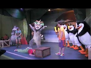 Madagascar Live - Prepare to Party! Dreamworld Australia