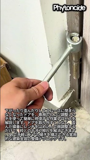 たった数秒で解決！専用レンチで行うドア蝶番（ヒンジ）の傾き調整ガイド #worker #process #handyman #homeimprovement #construction