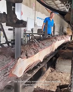 868K views · 1.2K reactions | Cutting huge trees has never been easier! | Trendy Magazine | Facebook