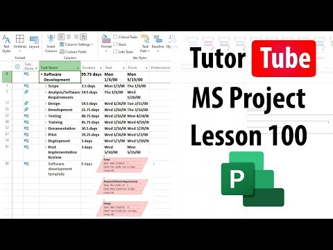 Microsoft Project - Lesson 100 - Viewing Project Statistics