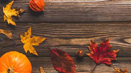 Happy Thanksgiving! Wishing you a heartful of gratitude. #Thanksgiving #Gratitude | B.C. Bailey Funeral Home