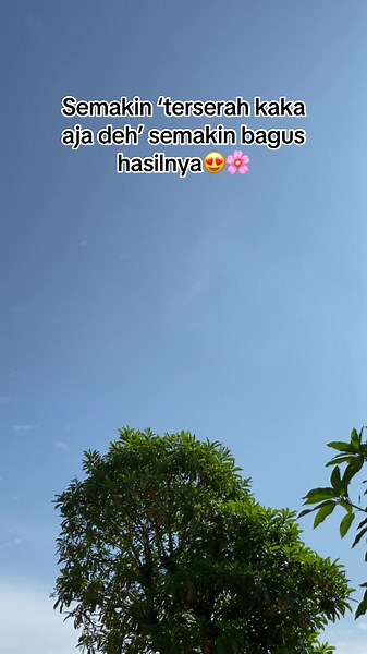 Orchidfloristofc_ on TikTok