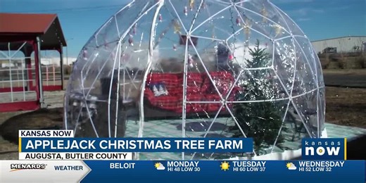 Applejack Tree Farm with all the Christmas activities