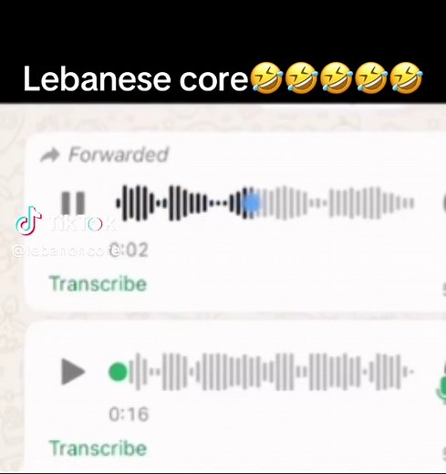 Lebanese Comedy: Exploring Cultural Humor