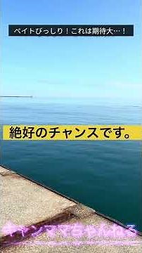【鳥肌注意】 堤防で悲鳴…ついに“怪物ブリ”掛かりました。#ショアジギング #ブリ #青物 #堤防釣り #メタルジグ #ブリ釣り #青物ゲーム #ショア青物 #爆釣 #釣り動画 #フィッシング