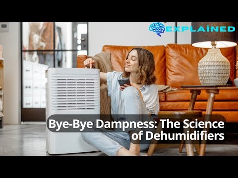 Bye-Bye Dampness: The Science of Dehumidifiers
