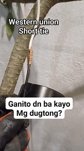 7.5K views · 18 reactions | Western union short tie splice wire splice #electrician #relay #control #power #technician #switch #wiring #engineering #diy #electrical | Electricians Guide | Facebook