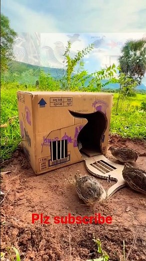Unique Bird Trap 3🐧#shorts #birds #trendingshorts #birdingparadise #birdsavairy #shortsfeed #viral