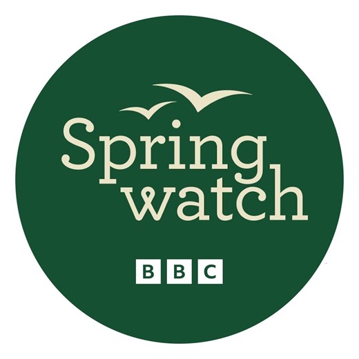 One of our favourite props of this series of Springwatch! 😍🦉 What’s been your favourite prop of the series so far? #springwatch #springwatch20 🌸 | BBC Springwatch