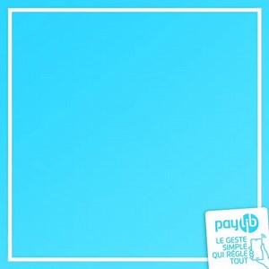 En 2020, restez tranquilles avec Paylib en ligne, votre paiement est sécurisé et vos données sont protégées ! Pour activer Paylib ➡️ https://www.paylib.fr/activer-paylib/ | Paylib