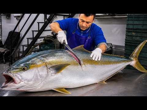 This Fish (Amberjack) Is HUGE! Watch the Filleting from Start to Finish