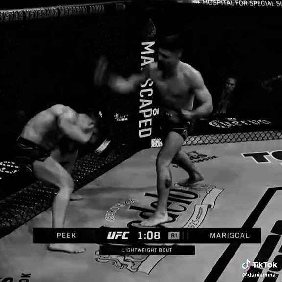 Рекомендовані акаунти