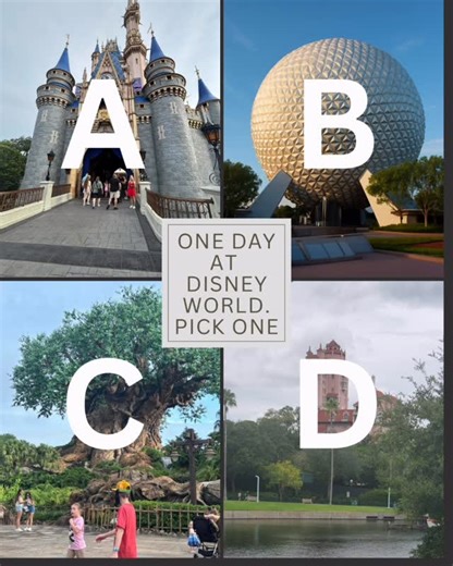 Whitney Cooper on Instagram: "If you had ONE day at Disney World and could only pick ONE park… where are you going?! 👀✨ A) 🏰 Magic Kingdom B) 🎬 Hollywood Studios C) 🌐 EPCOT D) 🦁 Animal Kingdom 👇 Drop your letter in the comments! (and if you say “all of them”… I’m ignoring you 😂) ✨ Follow @chasingwonderstravel for Disney tips + trip planning help!#DisneyWorld #DisneyParks #DisneyAdult #DisneyVacation #DisneyTips"