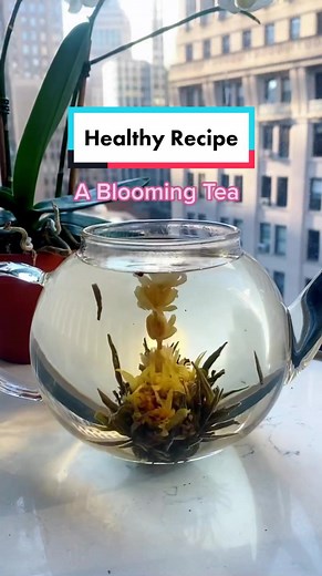 Recipe: 1 blooming tea boiling water = 😍🌸 #HealthyRecipe #Floweringtea #greentea #Viral