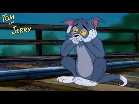 Blue Cat Blues 1956 Tom and Jerry Cartoon Short Film | William Hanna, Joseph Barbera | Film Review