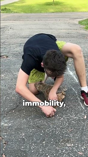 Why Do Chickens FREEZE When A Line Is Drawn Infront Of Them?