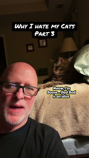Why I hate my cats Part 3. #cat #cats