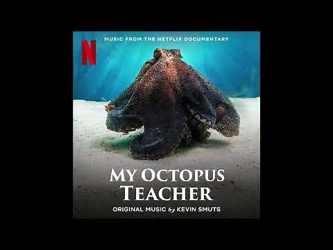My Octopus Teacher - Music from the Netflix Documentary