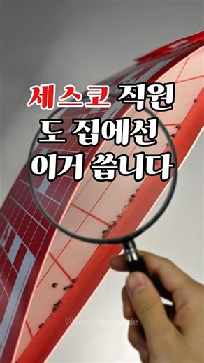 세스코 직원도 집에서 몰래 쓰는 권연벌레 트랩 실사용 후기 🪲#권연벌레#벌레#벌레퇴치#벌레트랩#살림템#shorts